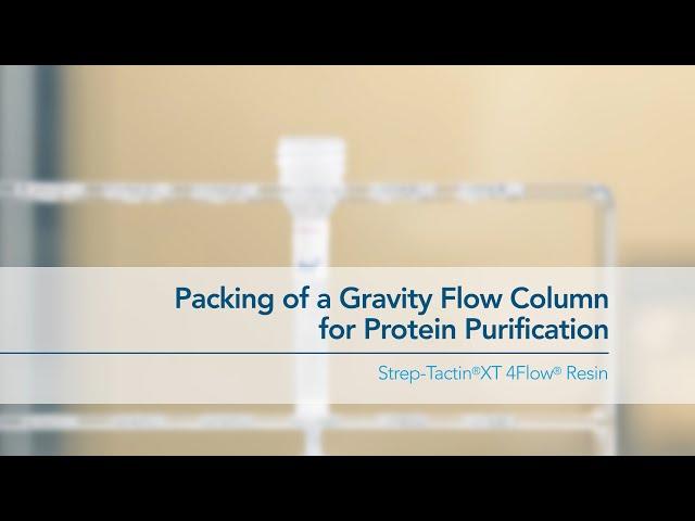 Packing of a Gravity Flow Column for Protein Purification