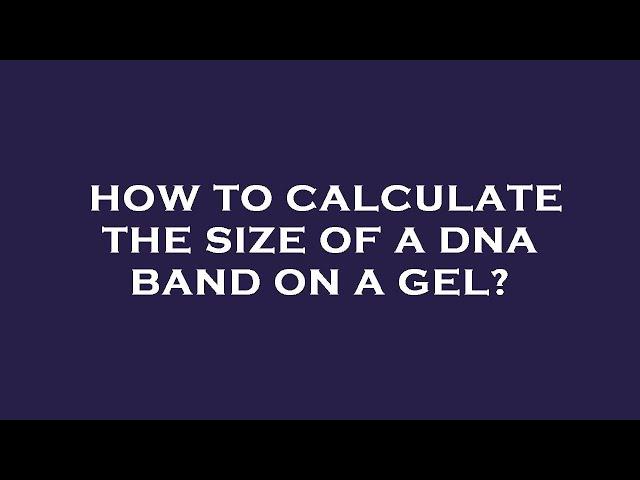 How to calculate the size of a dna band on a gel?