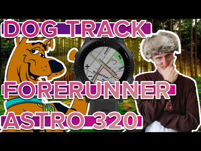 Как настроить функцию Dog Track отслеживание собаки на часах Garmin Forerunner 945 +Garmin Astro 320