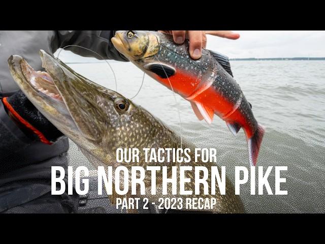 TACTICS for BIG Northern Pike  -  Part 2 - 2023 Recap