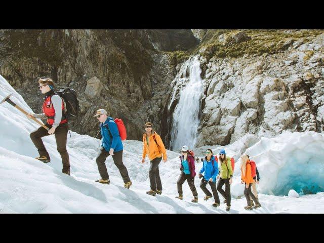 Explore an icy wonderland with Fox Glacier Guiding