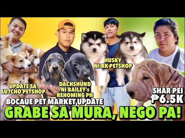 MALALAKING DISCOUNT PARA PO SA INYO | BOCAUE PET MARKET UPDATE | JUNE 07, 2024