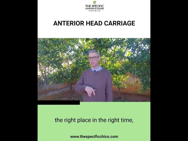 Anterior Head Carriage