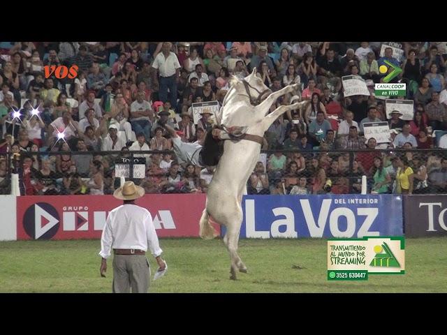 Jineteada 4  07-01-2018  Festival Nacional de Doma y Folklore de Jesús Maria Edición 53