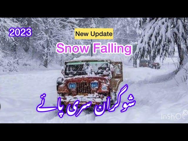 Snow Falling New Update | Shogran Sri Pai | Jaldi Jaldi Aap Sab Pahunche | 2.03.2023 | 03214239097 |