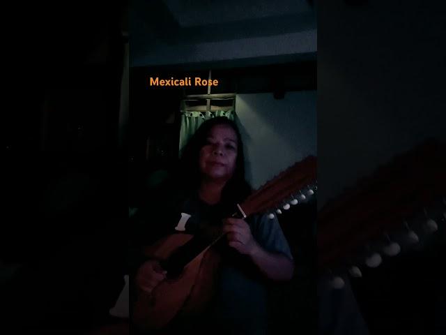 Mexicali Rose/Bandurria cover