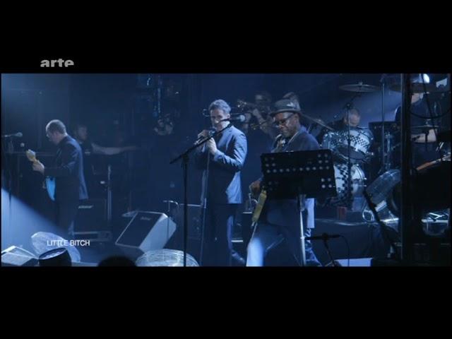 The Specials - Live 2014 [Full Set] [Live Performance] [Concert] [Full Show] [SKA]