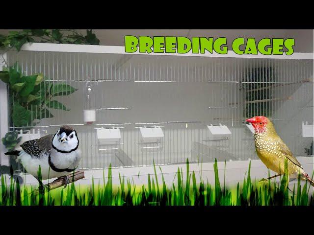 How To Build a Finch / Canary Breeding Cages, The Bird Gallery