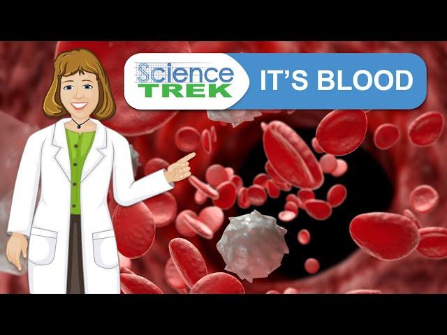 Blood: It's Blood! | Science Trek