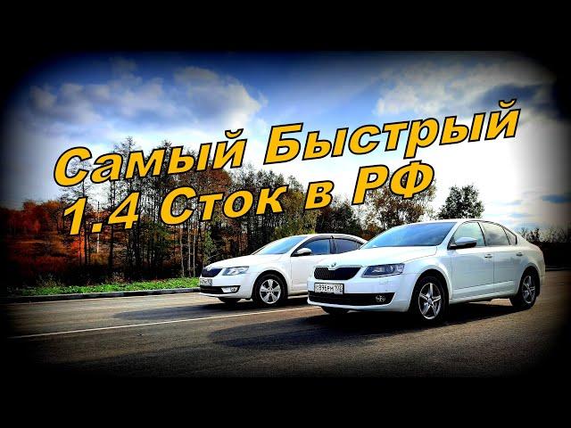 Skoda: Самый Быстрый 1.4 Сток в РФ. Замер Dragy (2021)