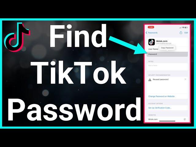 How To See Your Password On TikTok