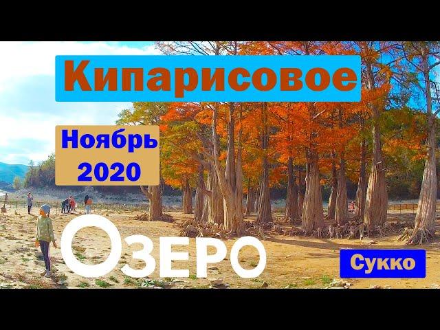 Кипарисы в осеннем наряде. Красота! / Кипарисовое Озеро осенью [Сукко] (ноябрь 2020)