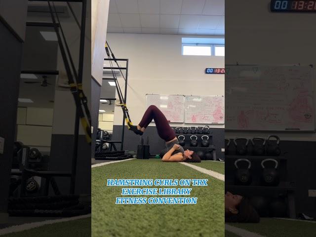 HAMSTRING CURLS ON TRX - EXERCISE LIBRARY- FITNESS CONVENTION