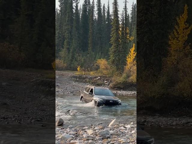 Subaru Outback Wilderness 2024 Deep Water crossing!! #offroad #offroading #watercrossing