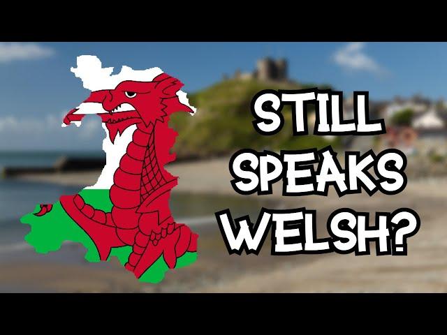 How has the Welsh language survived?