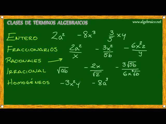 Algebraico.net - Clases de Términos Algebraicos