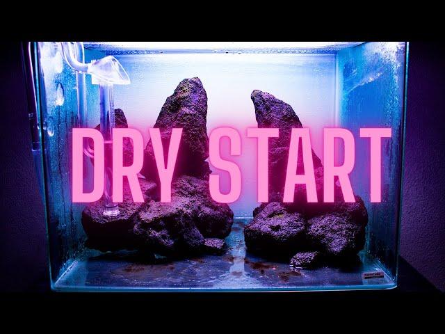 Dry Start Method - HOW TO: Grow aquarium moss on your HARDSCAPE!