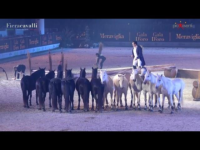 Gala D'oro "Meraviglia" - Fieracavalli 2022 - ACTION & EMOTIONS by Lorenzo