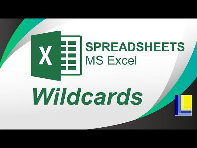 MS Excel | Wildcards