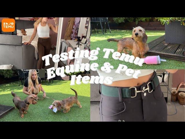 TESTING EQUESTRIAN AND PET ITEMS FROM TEMU 