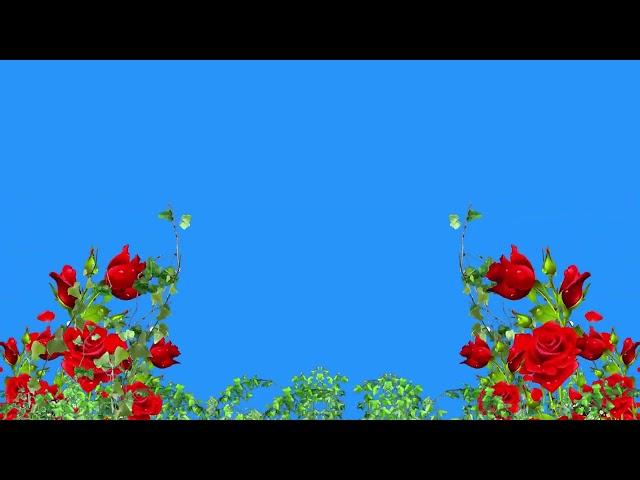 Rose flowers loop video tree leaf's animation moving motion background green screen