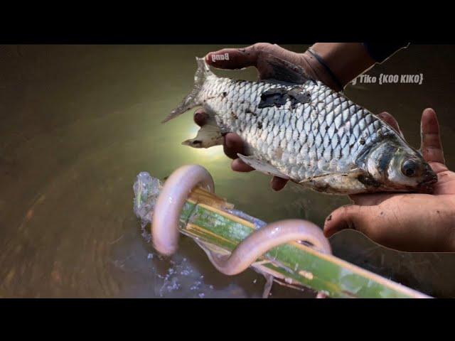 berburu belut pakai jepitan bambu & ada suara anehh diluar #KOOKIKO