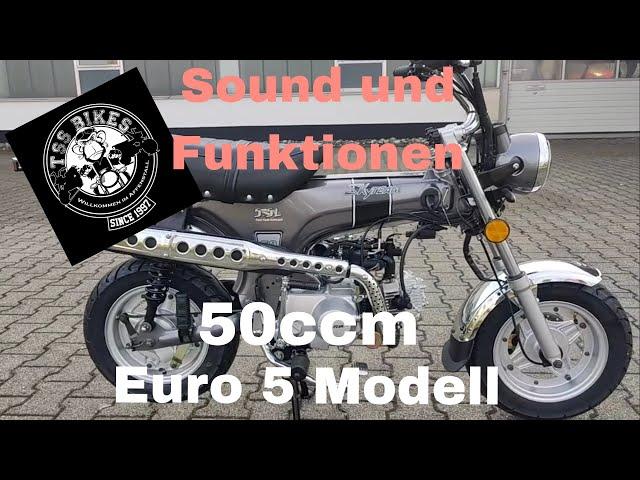 Skyteam Skymax wie Honda Dax 50ccm 2024 Modell von TSS BIKES