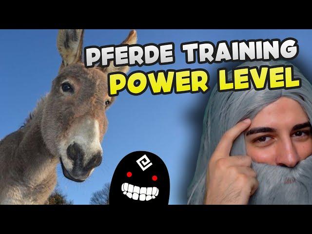 BDO Training Power Level Guide | Schnellste Methode Pferde Abrichtung zu leveln  - Wakayashi