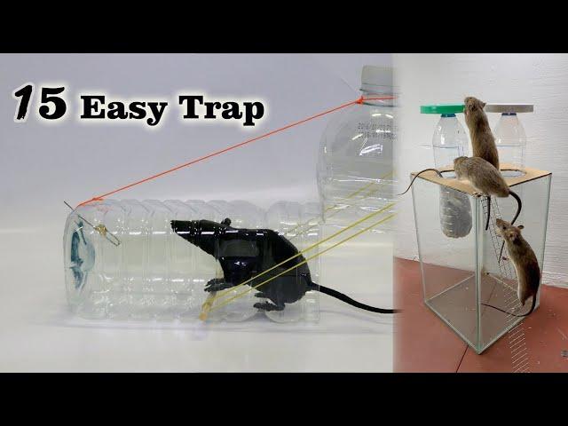 15 Easy Mouse/Rat Trap - Awesome mousetrap ideas from plastic and cardboard buckets