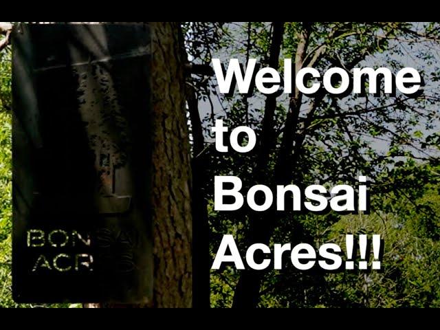 Welcome To Bonsai Acres!  BAvlog E1