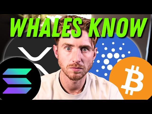 TRUMP About to DROP CRYPTO BOMBSHELL | Whales Make HUGE Moves! 