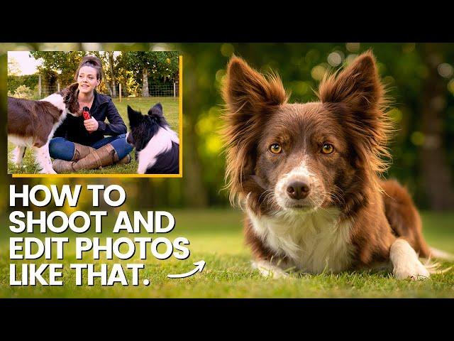 DOG PHOTOGRAPHY | Stunning dog portraits - Settings, tips, edit!