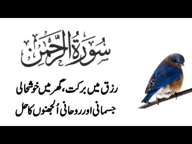 Surah Ar Rahman heart touching recitation Ep - 00037 | Bazm E Quran