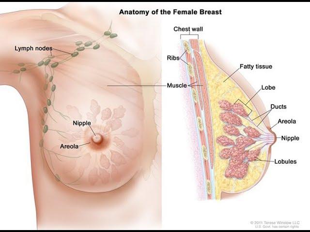 Symptoms of breast cancer explained by Dr. Zee