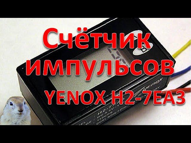 ️СЧЁТЧИК ИМПУЛЬСОВ YENOX H2-7EA3 ️Обзор. Толстый Суслик