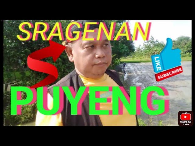 Sragenan Koplo #puyeng #klip