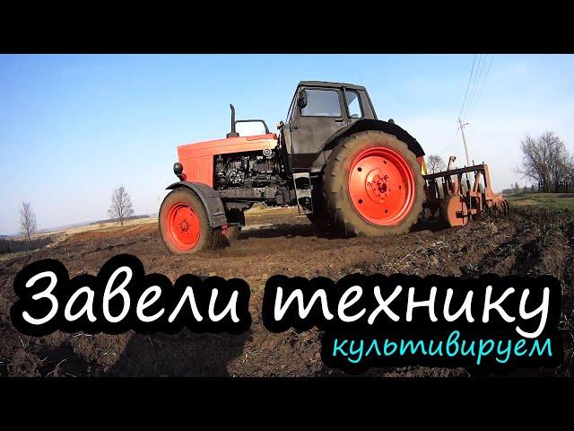 МТЗ 80 // Культивируем // Белорусская деревня // Коровы // Семья Лях