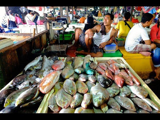 A Quick Tour around the Jimbaran Fish Markets | Bali, Indonesia