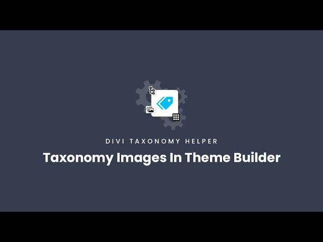 How To Use Taxonomy Images In The Theme Builder | Divi Taxonomy Helper Documentation