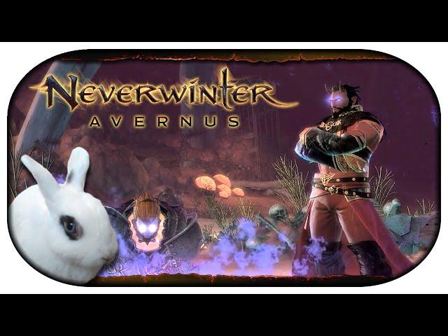 NEVERWINTER: Avernus  07 - Ein Fragment der Hoffnung