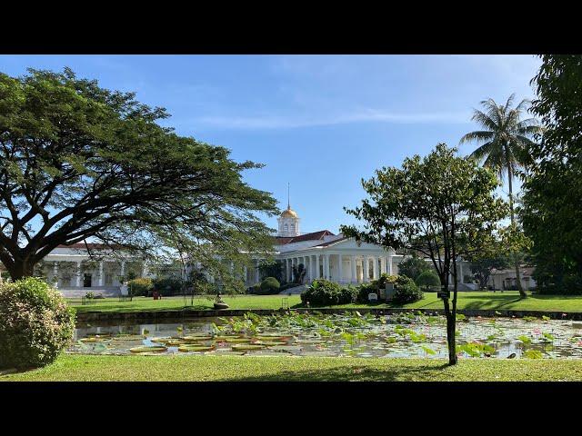 Kebun Raya Bogor - 4K Cinematic Video (iPhone SE 2020)