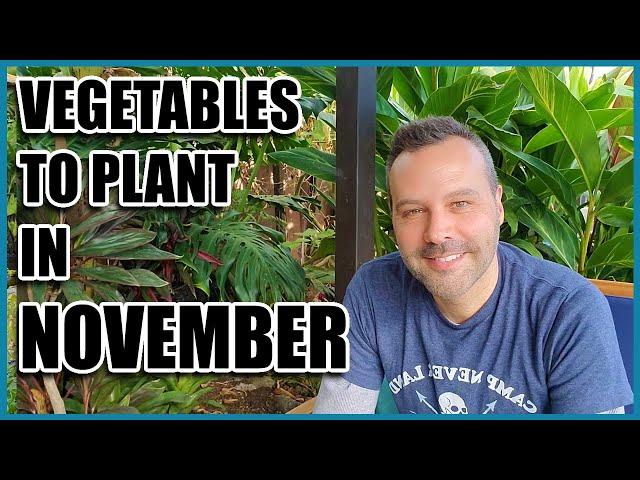 Vegetables to Plant in November - IN ANY CLIMATE!