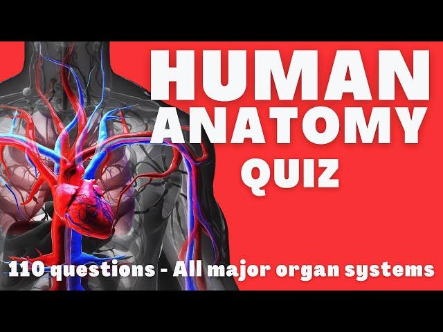 Complete Human Anatomy quiz | Can You Answer these Questions about the Human Body?