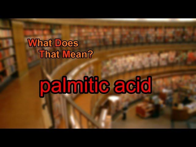 What does palmitic acid mean?