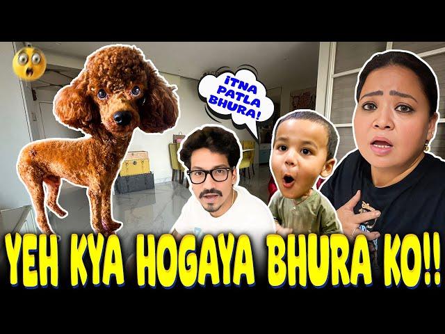 Yeh Kya Hogaya Bhura Ko  | Bharti Singh | Haarsh Limbachiyaa | Golla