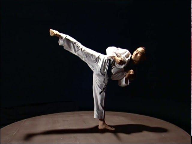 Taekwondo basic kicks