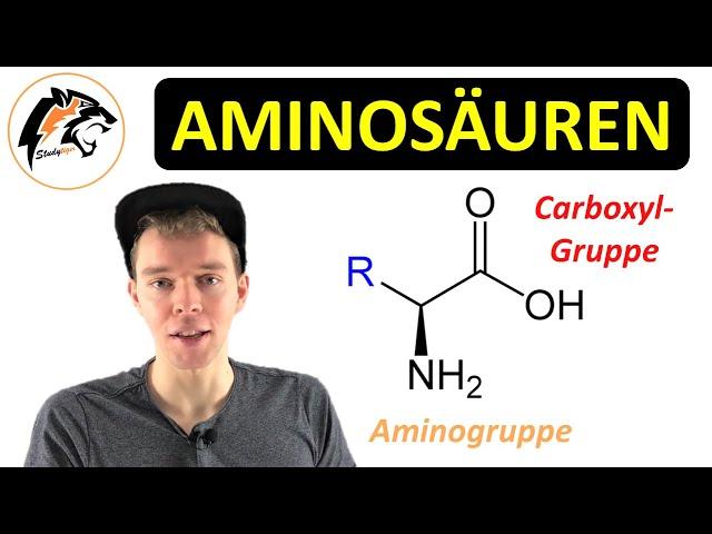 AMINOSÄUREN (Aufbau, Eigenschaften, Zwitterion) | Chemie Tutorial