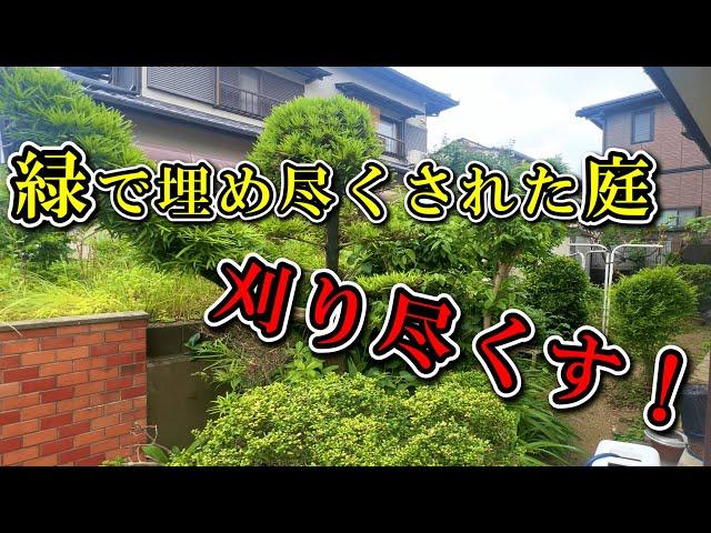 【草刈り】本当に緑が全てなくなります【伐採】