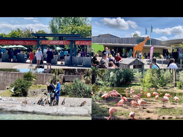 Largest zoo in U.K.| Chester Zoo 2022| popular tourist attraction