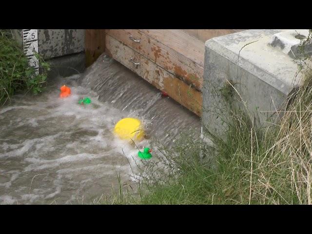 Swale leaky barrier experiment 22/8/19